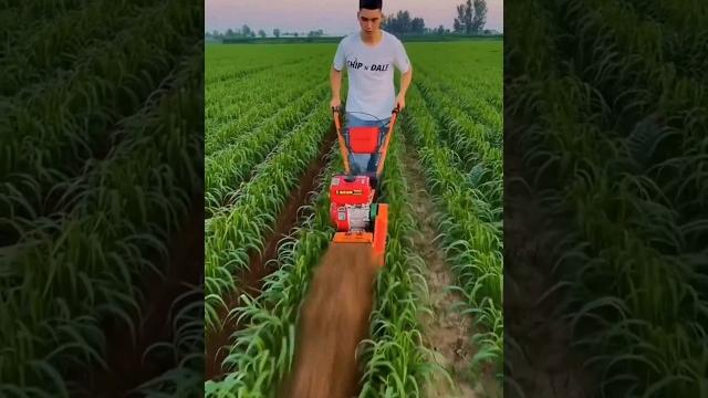 Powerful mini tiller Powerful mini tiller