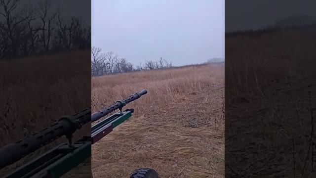 Всу, 231, вова їбаш їх блядь Всу, 231, вова їбаш їх блядь
