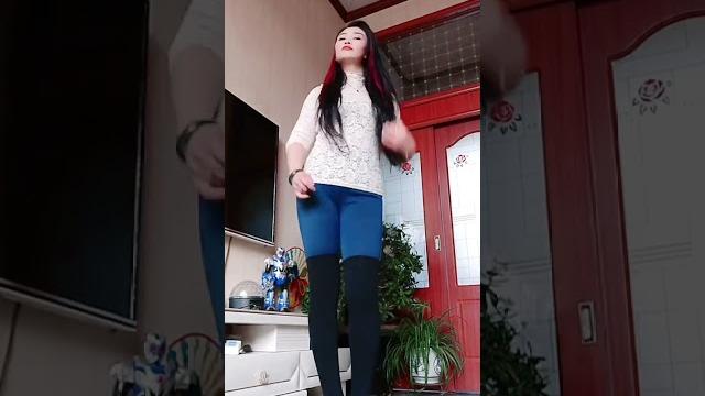 金芙蓉广场舞 金芙蓉广场舞