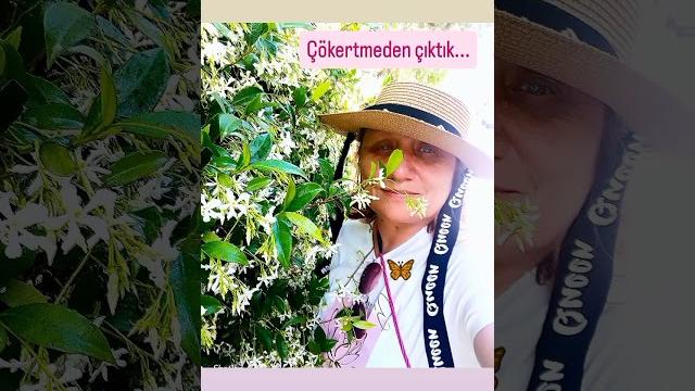 #çökertme #çökertme