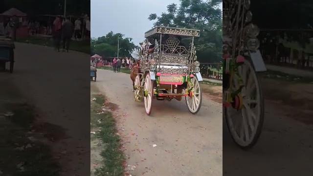 Horse cart @ uttara,dhaka, bangladesh. #horse #horseriding #dhaka #horseracing #horselover #animals Horse cart @ uttara,dhaka, bangladesh. #horse #horseriding #dhaka #horseracing #horselover #animals