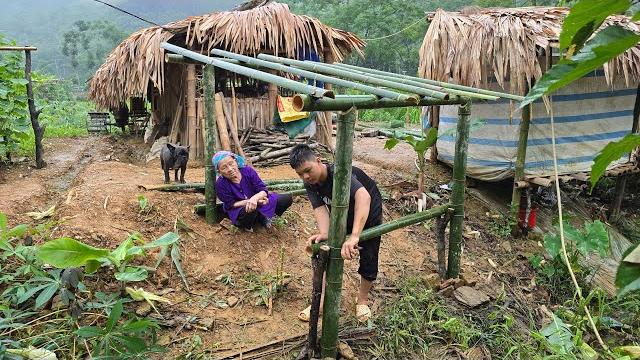Orphan boy - cut bamboo to make a pigsty and take care of the vegetable garden with his grandmother Orphan boy - cut bamboo to make a pigsty and take care of the vegetable garden with his grandmother