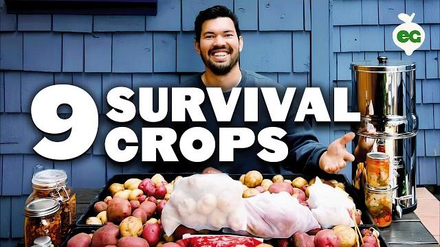 9 survival gardening crops to grow in a post apocalyptic world 9 survival gardening crops to grow in a post apocalyptic world