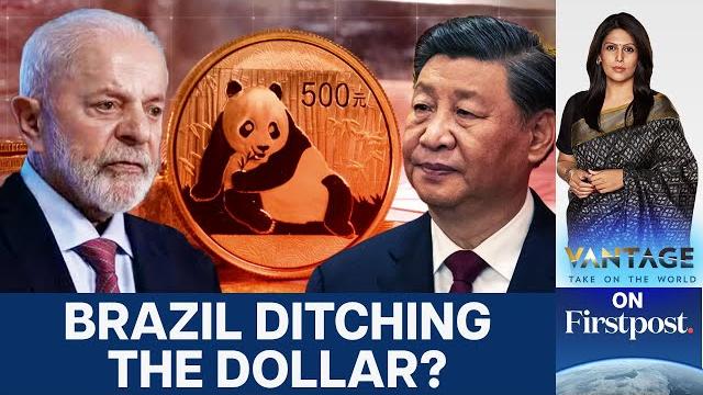 Panda bonds explained: why brazil is embracing china’s yuan | vantage with palki sharma | n18g Panda bonds explained: why brazil is embracing china’s yuan | vantage with palki sharma | n18g