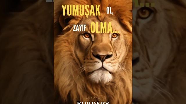 Yumuşak ol, ama asla zayıf olma... Yumuşak ol, ama asla zayıf olma...