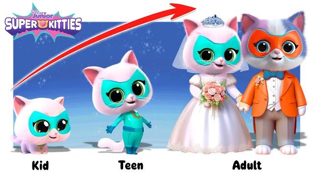 Superkitties growing up compilation | go wow Superkitties growing up compilation | go wow