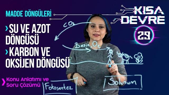Madde döngüleri: karbon ve azot döngüsü | 8. sınıf fen bilimleri | lightboard ile ders #29 Madde döngüleri: karbon ve azot döngüsü | 8. sınıf fen bilimleri | lightboard ile ders #29