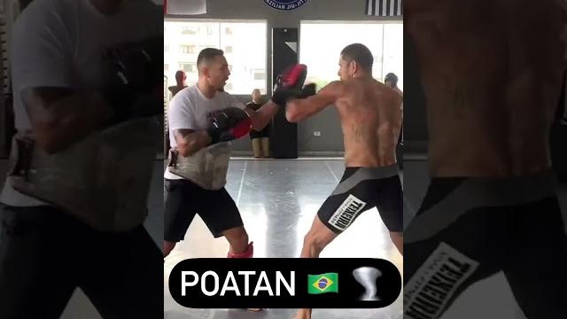 Alex pereira looks sharp ahead of ufc 281 Alex pereira looks sharp ahead of ufc 281