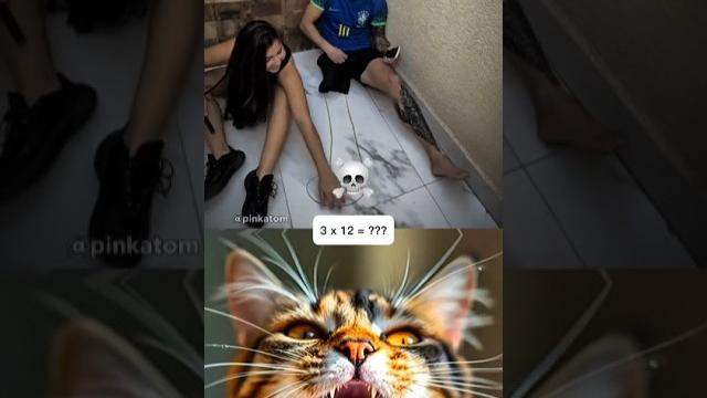 She created leg just to tickle him #funny #memes #cat She created leg just to tickle him #funny #memes #cat