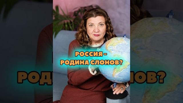 Почему слон является символом ставрополя? Почему слон является символом ставрополя?