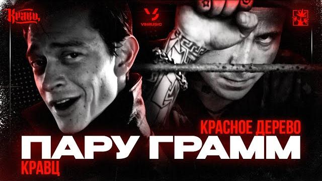 Кравц, красное дерево - пару грамм (премьера клипа 2023) Кравц, красное дерево - пару грамм (премьера клипа 2023)