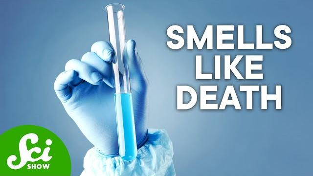 The 5 most dangerous chemicals on earth The 5 most dangerous chemicals on earth