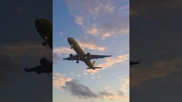 Am i the only one who thinks aircraft are sexy🫣️#cabincrew #viral #fypshorts #aviation@youtube Am i the only one who thinks aircraft are sexy🫣️#cabincrew #viral #fypshorts #aviation@youtube
