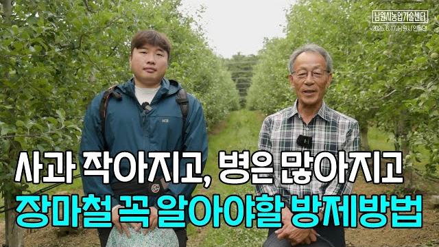장마철 사과 과원관리 장마철 꼭 알아야할 방제방법 장마철 사과 과원관리 장마철 꼭 알아야할 방제방법