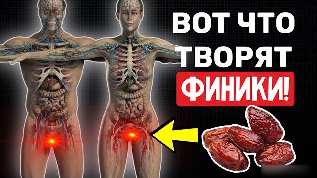 Всего три финика в день запустят необратимые процессы в вашем организме.финики польза или вред? Всего три финика в день запустят необратимые процессы в вашем организме.финики польза или вред?
