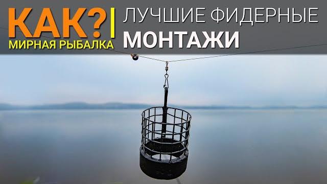 Как? лучшие фидерные монтажи. инлайн или патерностер? Как? лучшие фидерные монтажи. инлайн или патерностер?