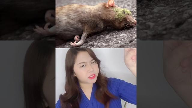 Kiamat karna tikus ?! | klara tania #shorts Kiamat karna tikus ?! | klara tania #shorts