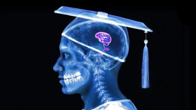 Why intellectuals are f*cking idiots Why intellectuals are f*cking idiots