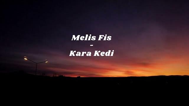Melis fis - kara kedi (lyrics/turkish) Melis fis - kara kedi (lyrics/turkish)