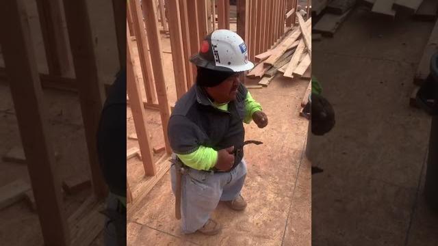 Mexican dwarf (midget) Mexican dwarf (midget)