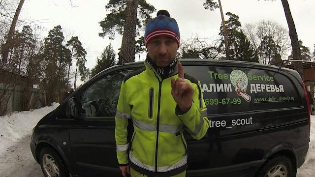 Сколько стоит спилить дерево? Сколько стоит спилить дерево?