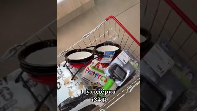 Что нужно купить перед появлением котенка? Что нужно купить перед появлением котенка?