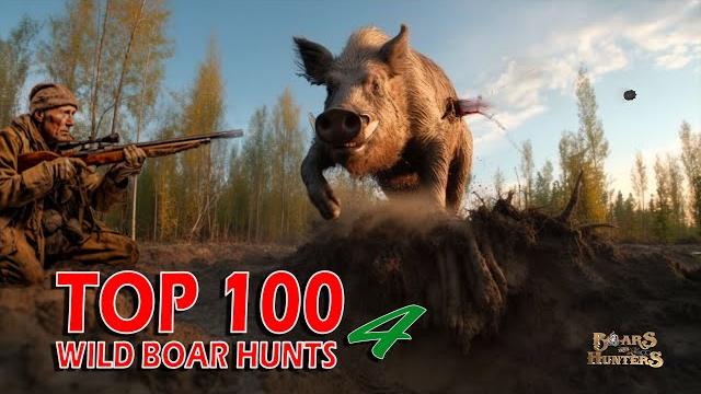 Top 100 wild boar hunts of "boars and hunters" season 4 Top 100 wild boar hunts of "boars and hunters" season 4