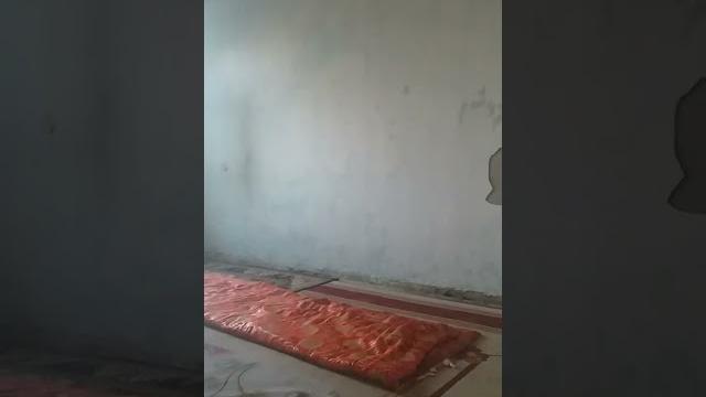 16 июня 2023 г. 16 июня 2023 г.