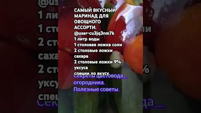 Самый вкусный маринад для овощного ассорти Самый вкусный маринад для овощного ассорти