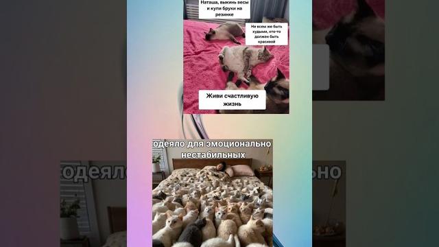 Крутое пушистое одеяло Крутое пушистое одеяло