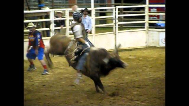 Wild bull rider Wild bull rider
