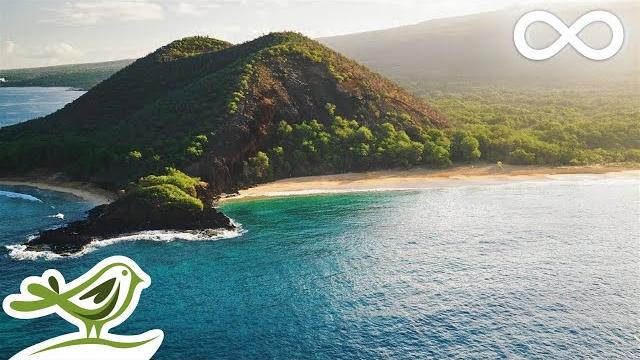 Relaxing music with beautiful nature - peaceful piano & guitar music by soothing relaxation Relaxing music with beautiful nature - peaceful piano & guitar music by soothing relaxation
