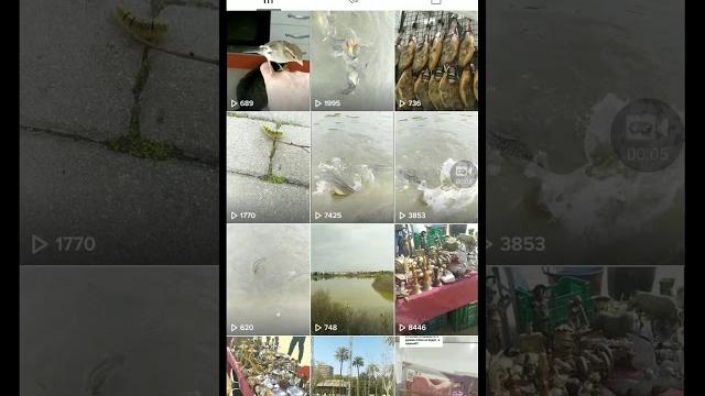Тикток заблокировал видео, что делать Тикток заблокировал видео, что делать
