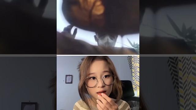 Phone falls from troll plane | chang dory | omegle Phone falls from troll plane | chang dory | omegle