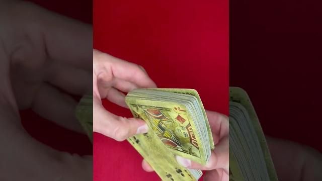 #shorts#cardistry#cardtrick#cards#cardist #shorts#cardistry#cardtrick#cards#cardist