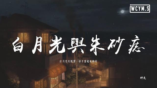 胖虎 - 白月光與朱砂痣「白月光在照耀,你才想起她的好」(可轉伴奏和人聲視頻)【【動態歌詞/pīn yīn gē cí】 胖虎 - 白月光與朱砂痣「白月光在照耀,你才想起她的好」(可轉伴奏和人聲視頻)【【動態歌詞/pīn yīn gē cí】