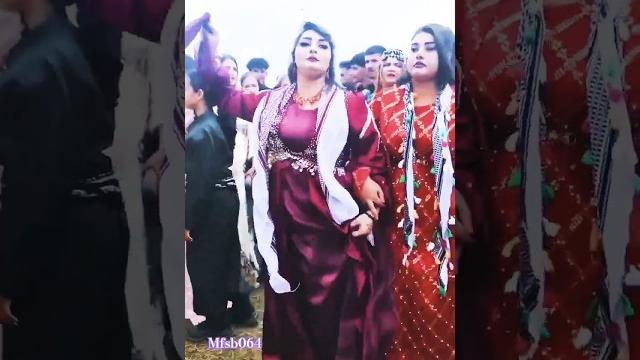 Dabke dance profomance #aymanmusichd #middleeasterndance #دبكة #bestkurdishdancemusic @mfsb064 Dabke dance profomance #aymanmusichd #middleeasterndance #دبكة #bestkurdishdancemusic @mfsb064