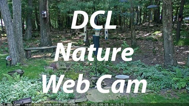 Dcl web cam (06/01/2025) Dcl web cam (06/01/2025)