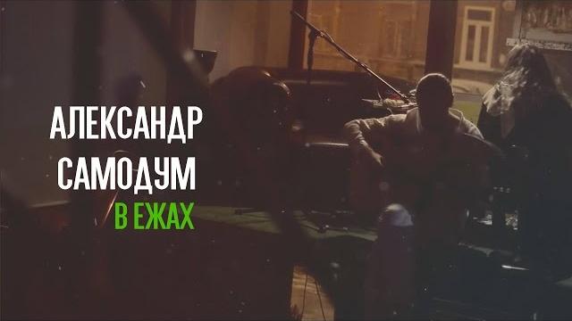 Самодум в ежах 26.11.2016 Самодум в ежах 26.11.2016