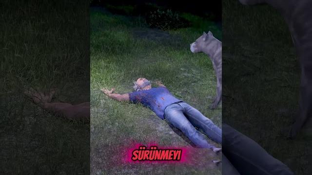 Köpek hayatimi kurtardi! Köpek hayatimi kurtardi!