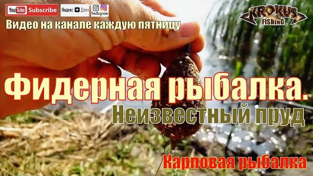 Фидерная рыбалка. неизвестный пруд Фидерная рыбалка. неизвестный пруд