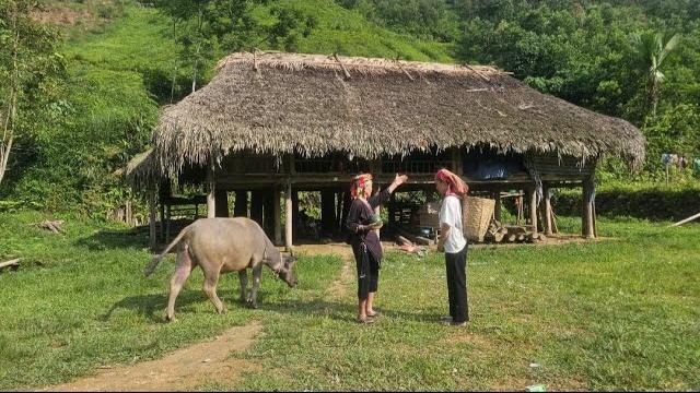 Homeless girl: helping an old lady in need - the old lady gave her a home and the ending Homeless girl: helping an old lady in need - the old lady gave her a home and the ending