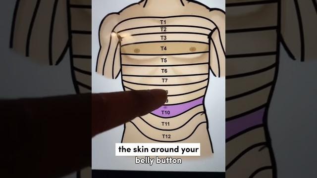Doctor explains why touching your belly button feels naughty! Doctor explains why touching your belly button feels naughty!