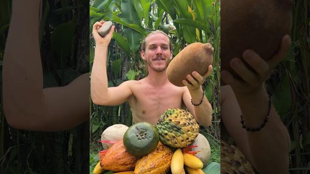 Top 5 craziest fruits Top 5 craziest fruits