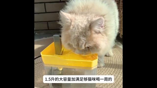 宠物饮水机猫咪 小猫 宠物饮水机 宠物饮水机猫咪 小猫 宠物饮水机