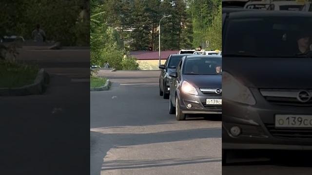 Талыш Талыш