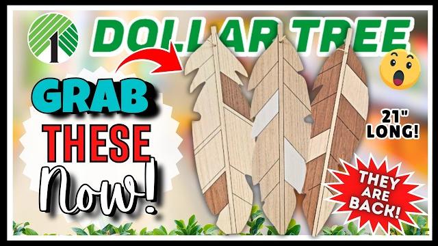 Dollar tree haul items just hit the shelves! new finds never seen before! plus price increase fyi Dollar tree haul items just hit the shelves! new finds never seen before! plus price increase fyi