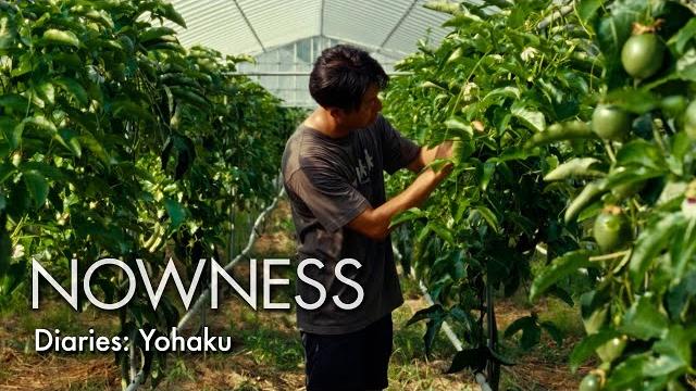Leaving tokyo for the ocean, hiroki ryo lives through the japanese concept of beauty in minimalism Leaving tokyo for the ocean, hiroki ryo lives through the japanese concept of beauty in minimalism
