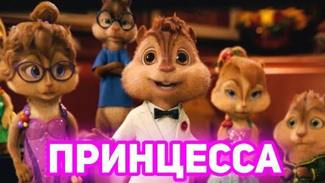 Элвин и бурундуки поют принцесса (бабек мамедрзаев) Элвин и бурундуки поют принцесса (бабек мамедрзаев)
