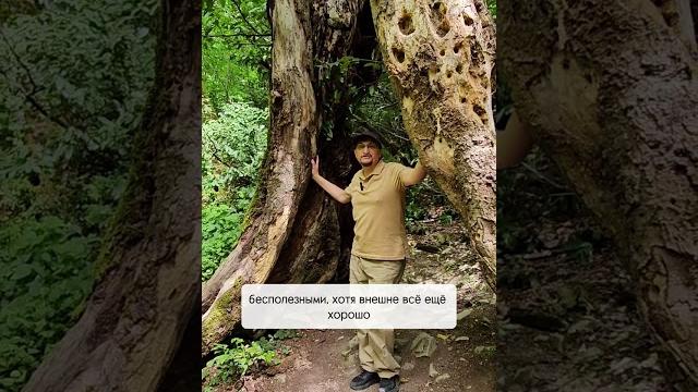 Что у вас внутри? | сергей калабин Что у вас внутри? | сергей калабин